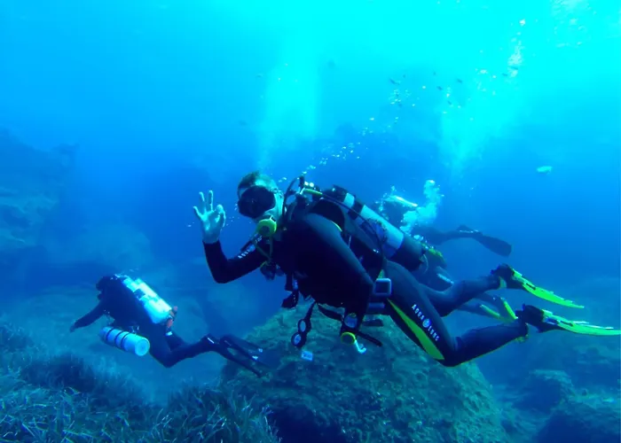 Exclusive 2br By Buena Vista *